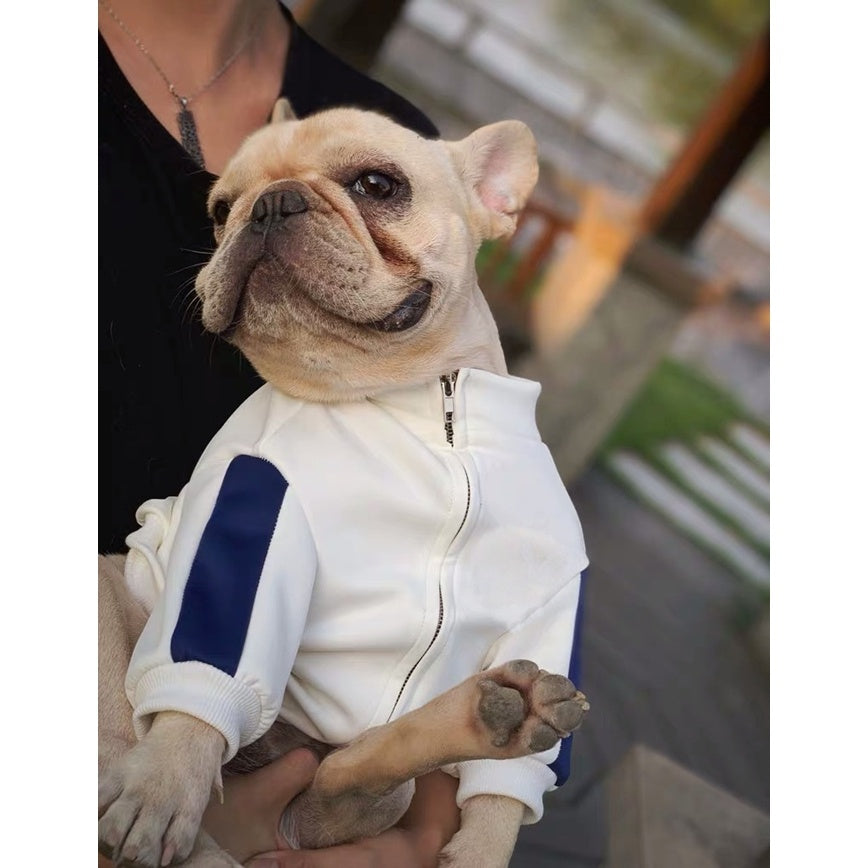 Pet fashion brand cat and dog clothes