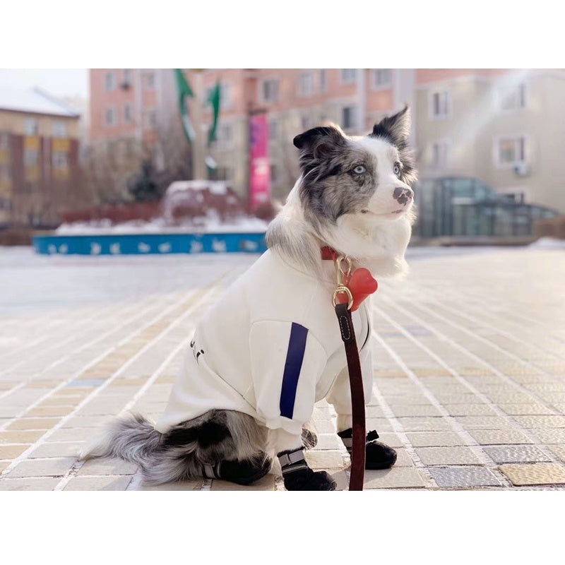 Pet fashion brand cat and dog clothes